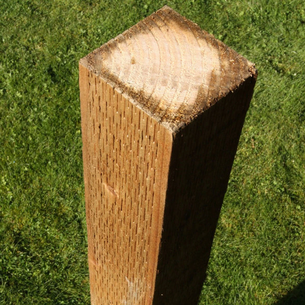 Brown Incised Fence Post UC4 Treated Timber FSC 100 X 100mm - Image 7