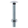 Timco Carriage Bolts & Hex Nuts Zinc DIN603 M10 X 100 (24 Pack) 10100CBB