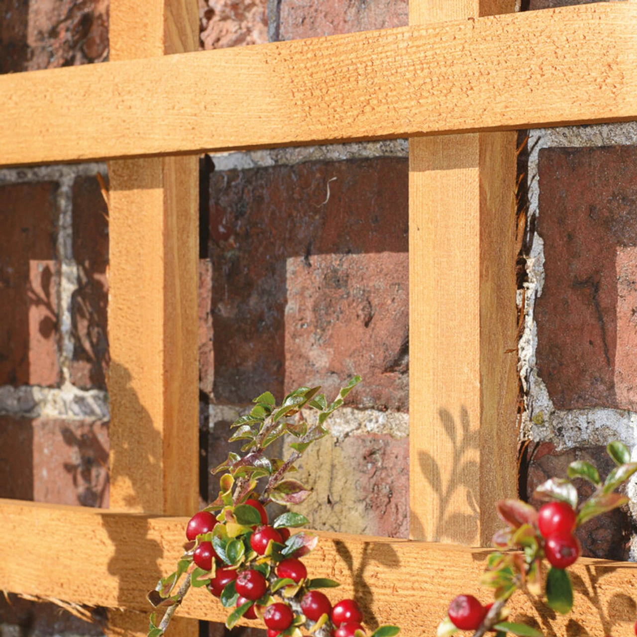 Grange Trellis Heavy Duty Square Trellis Golden 1828 X 30mm - Image 2