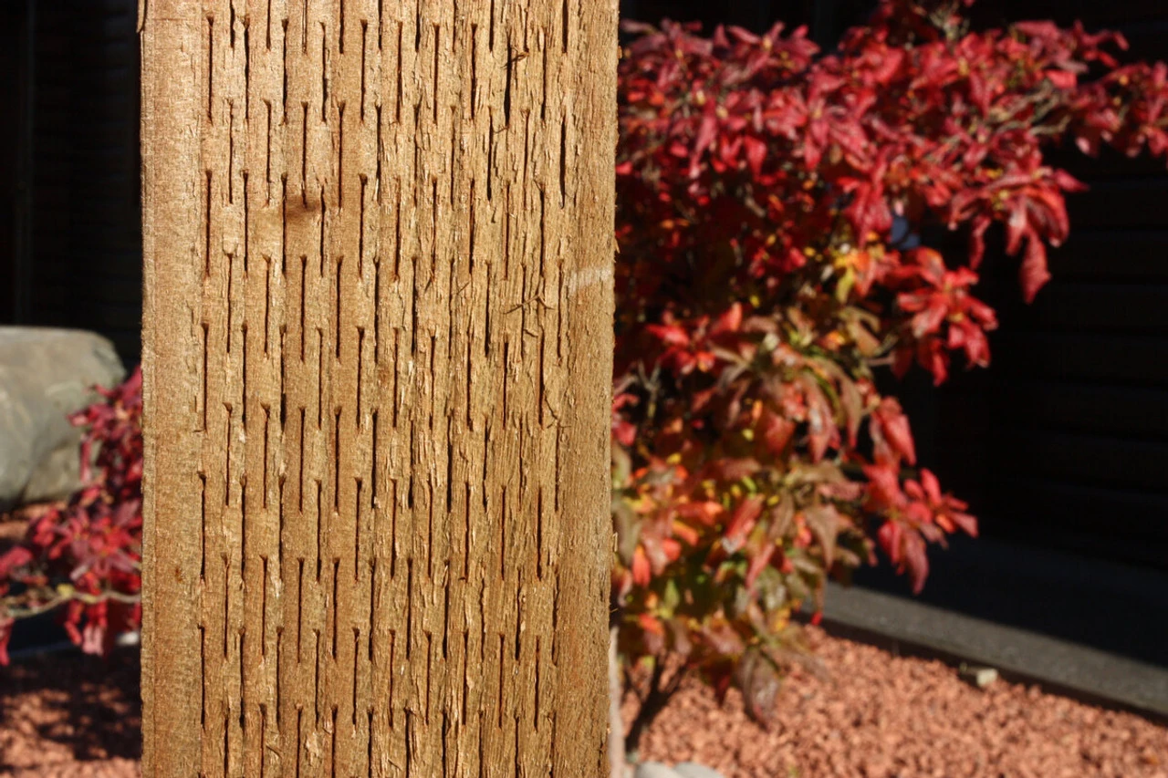 Brown Incised Fence Post UC4 Treated Timber FSC 100 X 100mm - Image 4