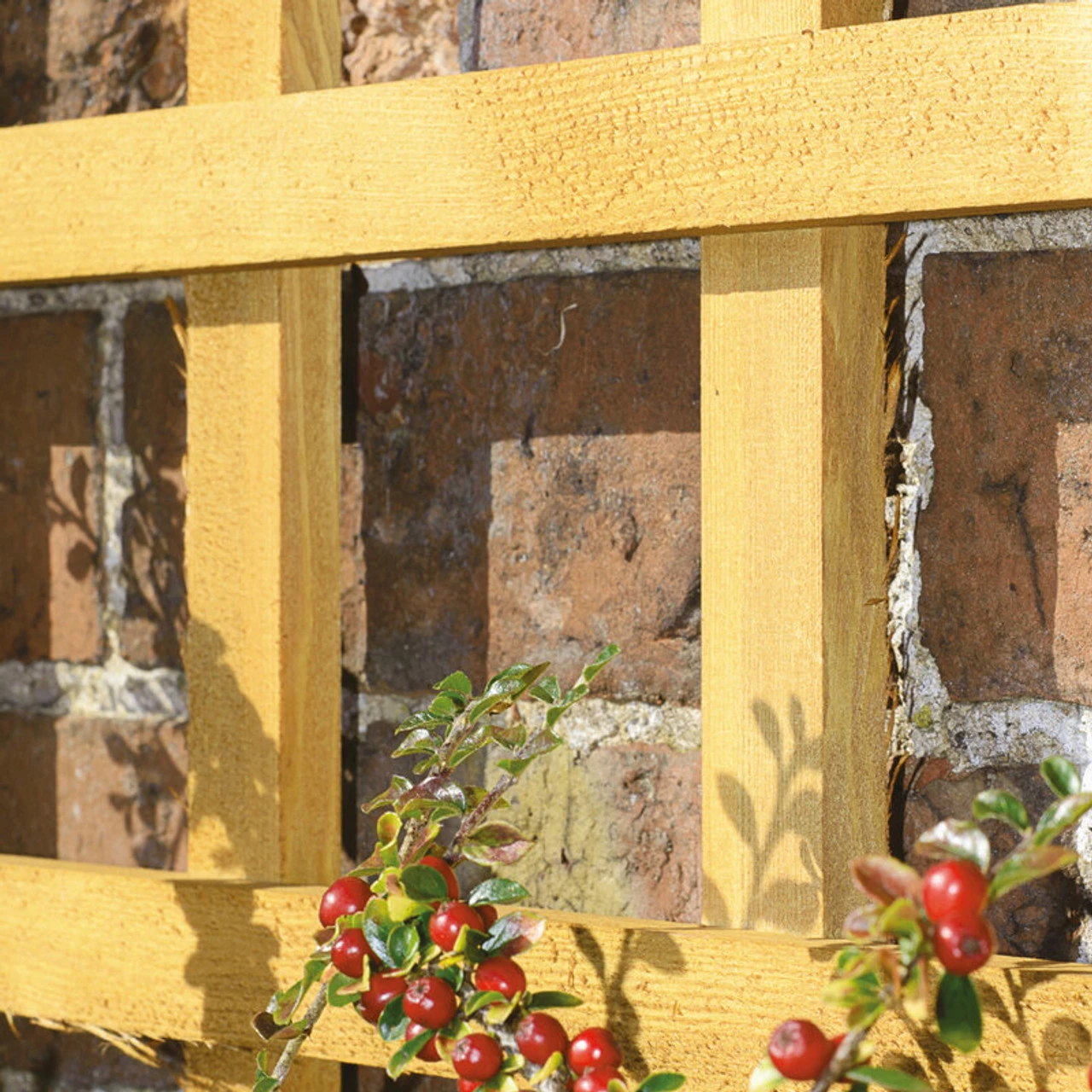 Grange Trellis Heavy Duty Square Trellis Green 1828 X 30mm - Image 2