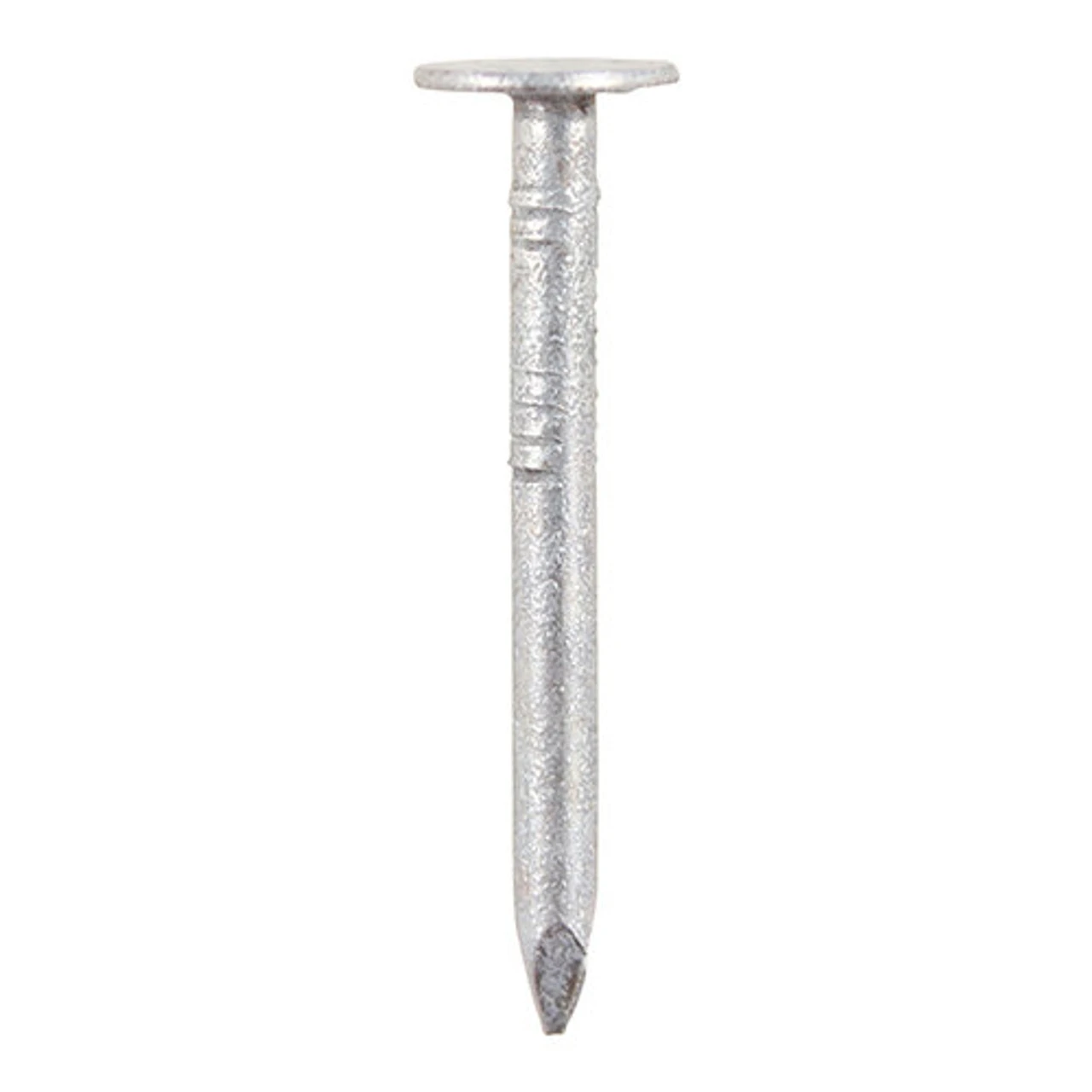 Timco Clout Nails Galvanised (GCN65T) 63 X 3.75mm 2.50kg - Image 2