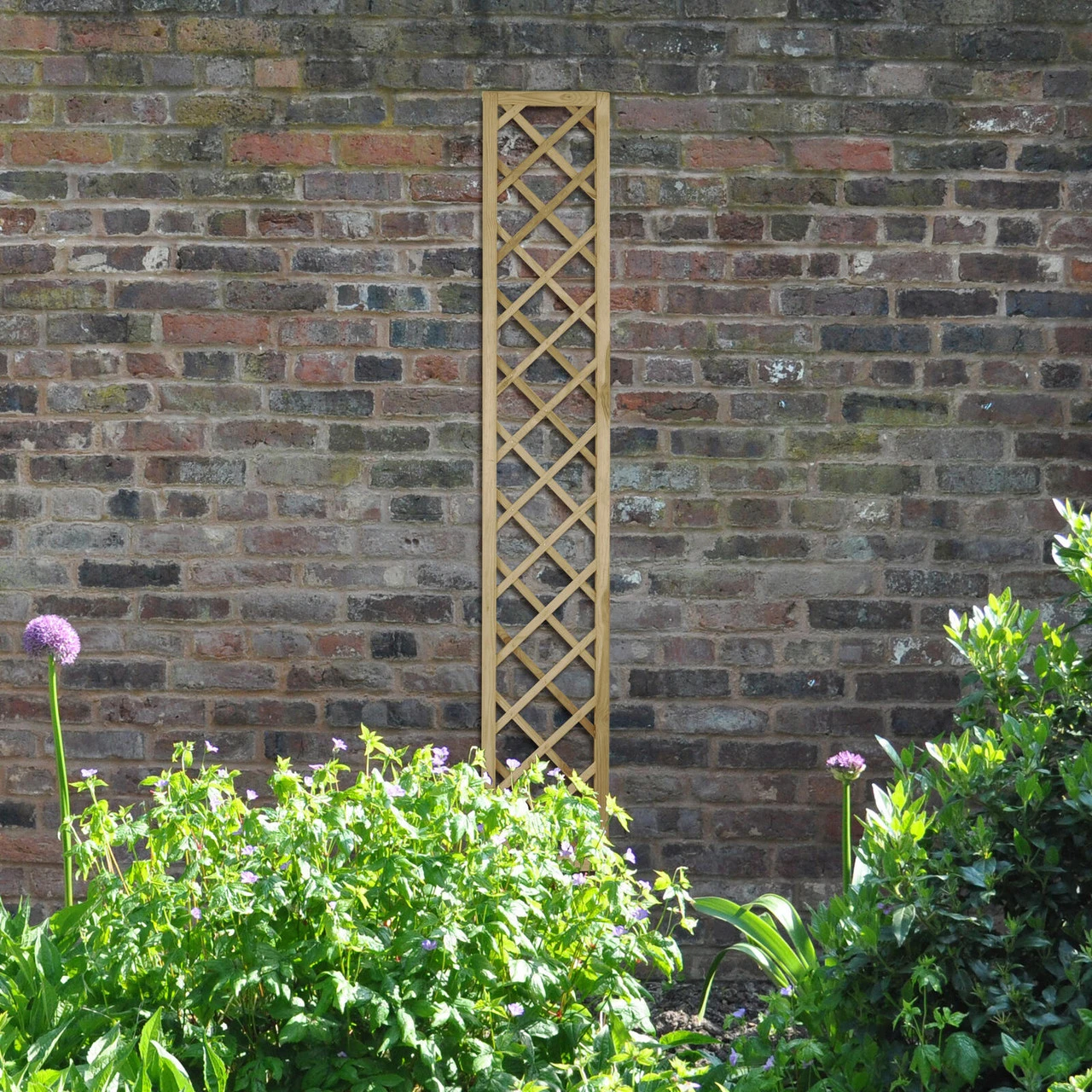 Forest Garden Hidcote Lattice 1800mm (5 Pack)
